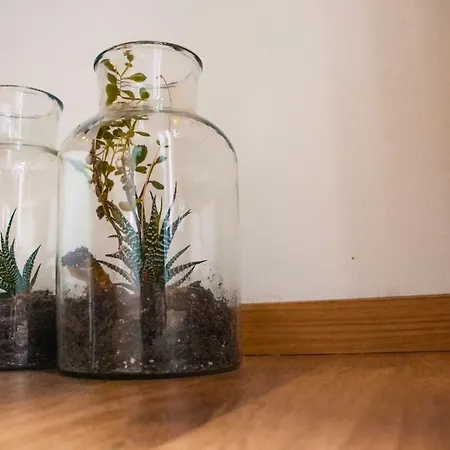 Casa Romeo * Κούνεο